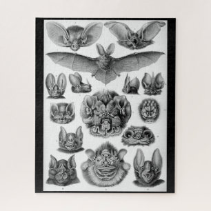 vleermuizen van Ernest Haeckel 525-stukpuzzel Legpuzzel