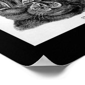 vleermuizen van Ernest Haeckel Poster (Hoek)