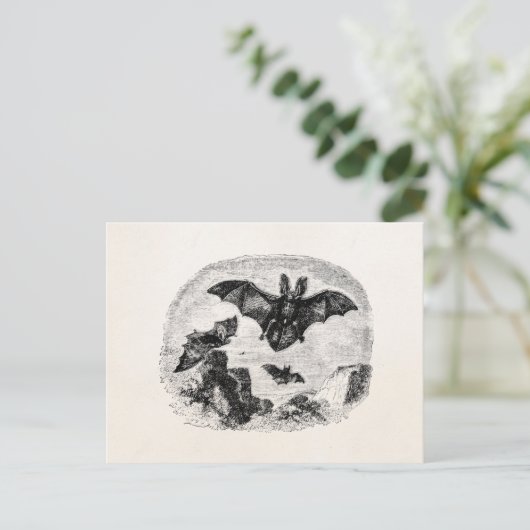  vleermuizen vliegen 1800's grote gevreesde vlekte briefkaart (Staand voorkant)