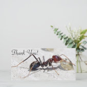 Vleesetende mier die zich voedt met honing bedankkaart (Staand voorkant)