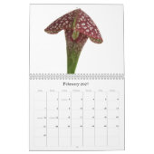 Vleesetende planten kalender (Feb 2027)