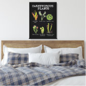 Vleesetende Planten Soort Saracenia venus flytrap Canvas Afdruk (Insitu (Slaapkamer))