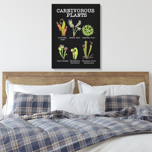 Vleesetende Planten Soort Saracenia venus flytrap Canvas Afdruk (Insitu (Slaapkamer))
