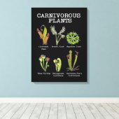 Vleesetende Planten Soort Saracenia venus flytrap Canvas Afdruk (Insitu (Houten vloer))