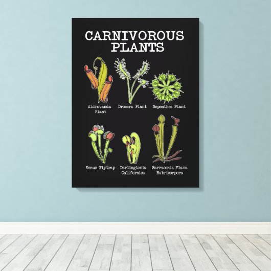 Vleesetende Planten Soort Saracenia venus flytrap Canvas Afdruk (Insitu (Houten vloer))