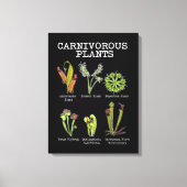 Vleesetende Planten Soort Saracenia venus flytrap Canvas Afdruk (Voorkant)