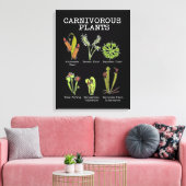 Vleesetende Planten Soort Saracenia venus flytrap Canvas Afdruk (Insitu (Woonkamer))