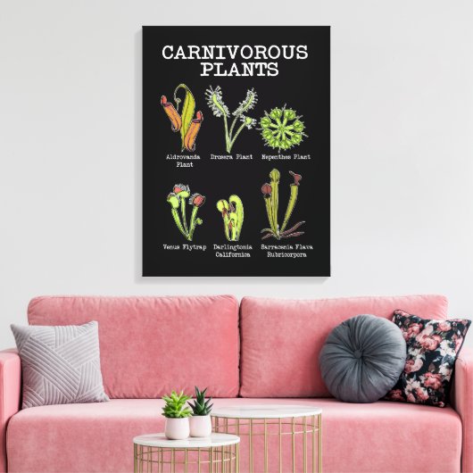 Vleesetende Planten Soort Saracenia venus flytrap Canvas Afdruk (Insitu (Woonkamer))