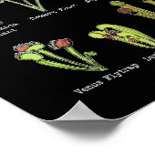 Vleesetende Planten Soort Saracenia venus flytrap Poster (Hoek)