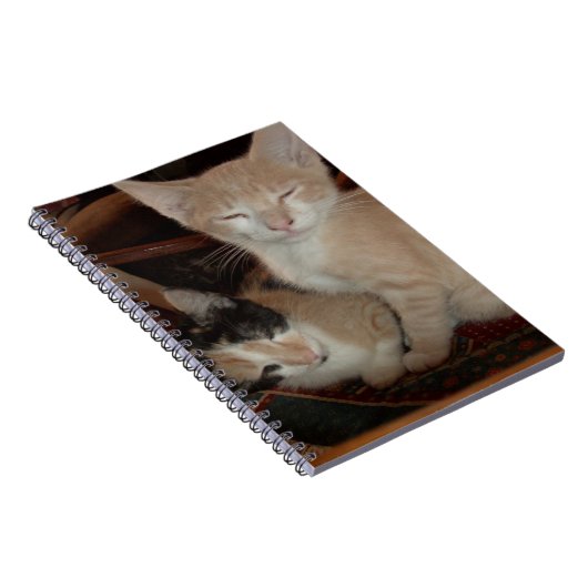 Vleeskatten 28 Notitieboek (Rechterzijde)