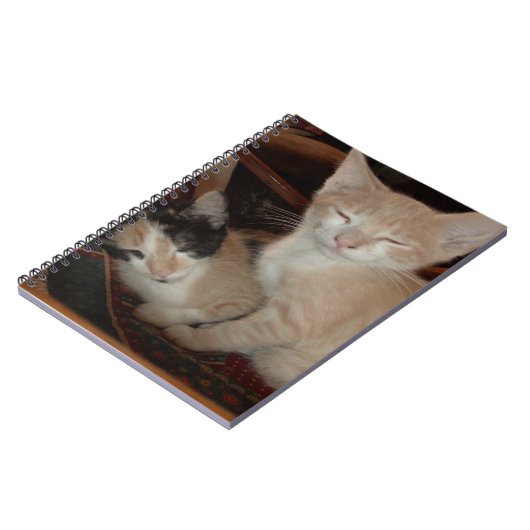 Vleeskatten 28 Notitieboek (Linkerzijde)