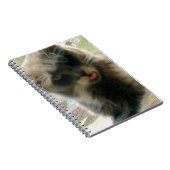 Vleeskatten 2 Notitieboek (Rechterzijde)