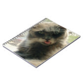 Vleeskatten 2 Notitieboek (Linkerzijde)