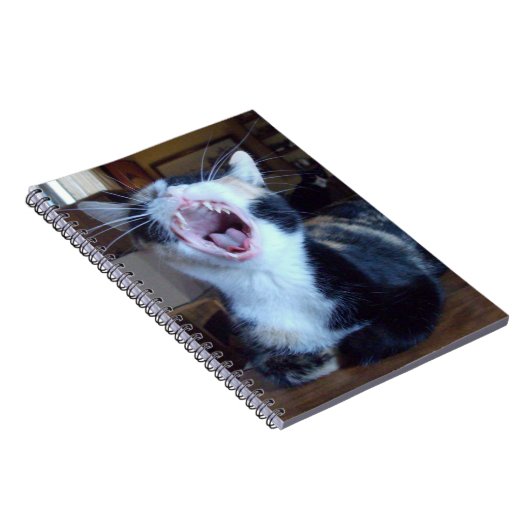 Vleeskatten 30 Notitieboek (Rechterzijde)