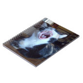 Vleeskatten 30 Notitieboek (Linkerzijde)