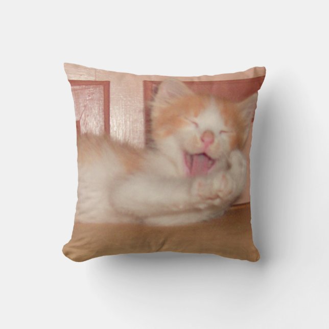 Vleeskatten 7 Sierkussen (Voorkant)