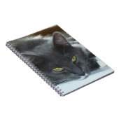 Vleeskatten 8 Notitieboek (Rechterzijde)