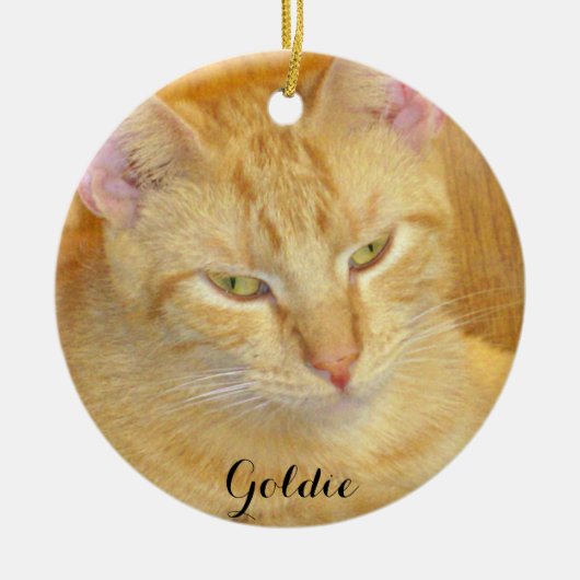 Vleeskatten Keramisch Ornament (Voorkant)