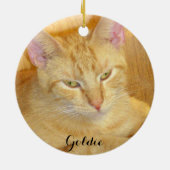 Vleeskatten Keramisch Ornament (Achterkant)