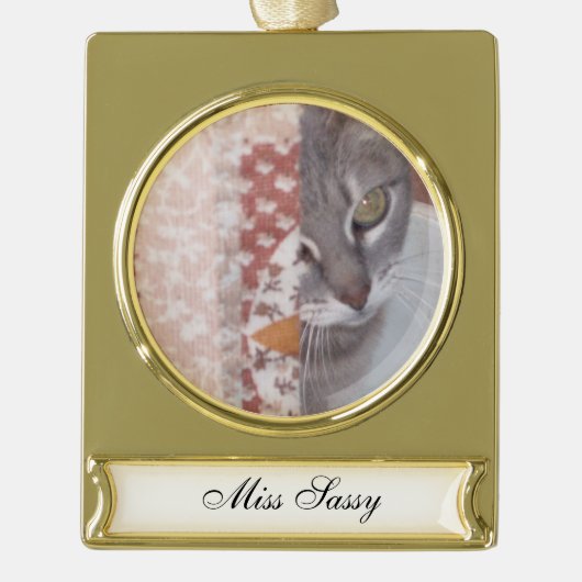 Vleeskatten Verguld Banner Ornament (Voorkant)