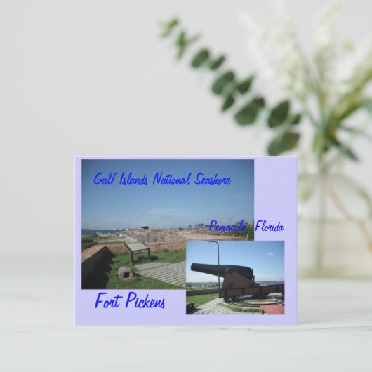 Vleeskippen, Pensacola, Fl... Briefkaart (Staand voorkant)