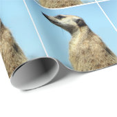 Vleespapier (1377) cadeaupapier (Rol Hoek)