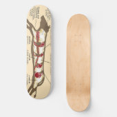 Vleesraad Mobber Skateboard (Voorkant)