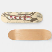 Vleesraad Mobber Skateboard (Horizontaal)