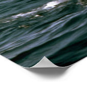 Vleetwalvis Poster (Hoek)