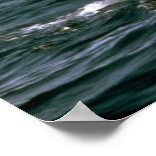 Vleetwalvis Poster (Hoek)