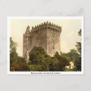 Vlei Kasteel, Cork van Co., Munster, Ierland Briefkaart