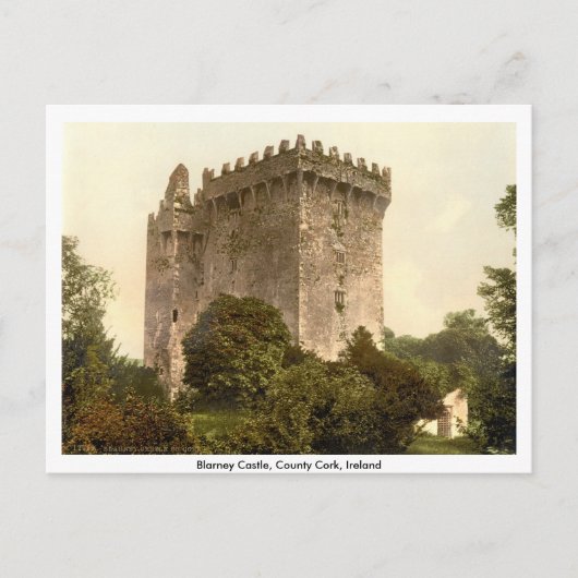 Vlei Kasteel, Cork van Co., Munster, Ierland Briefkaart (Voorkant)