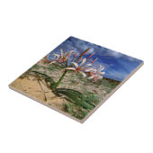 Vlei Lily (Nerine Laticoma) in bloem Tegeltje (Zijkant)