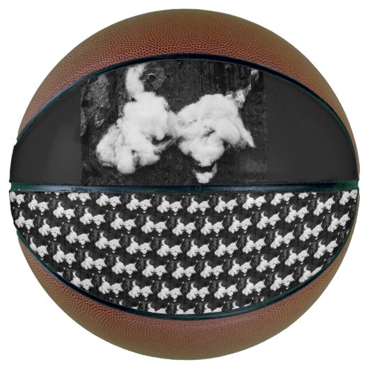 vleiend basketbal (Voorkant)