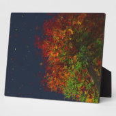 Vlek Afbeelding van regenboog Fotoplaat (Zijkant)