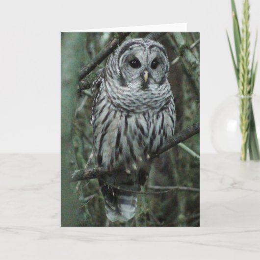 Vlek, de uil kaart (Voorkant)