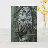 Vlek, de uil kaart (Gele Bloem)
