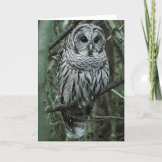 Vlek, de uil kaart