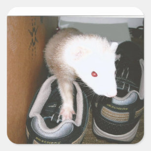 Vlek en schoen vierkante sticker