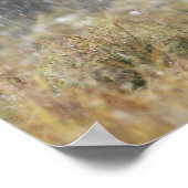 Vlek in sneeuwstorm met aspen in bomen poster (Hoek)