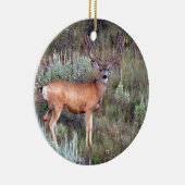 Vlek Keramisch Ornament (Rechts)