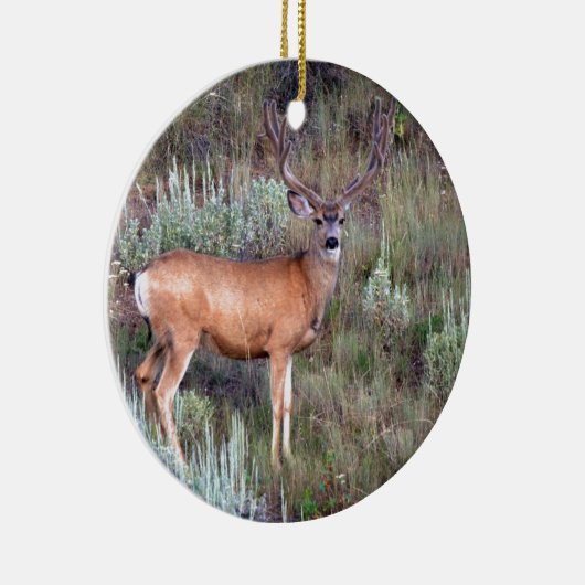 Vlek Keramisch Ornament (Rechts)