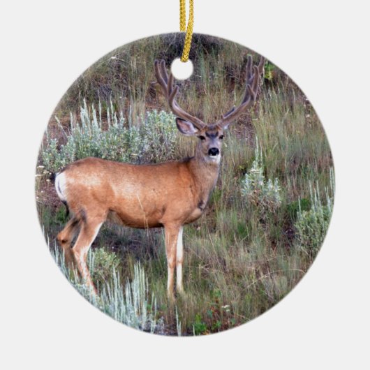 Vlek Keramisch Ornament (Voorkant)