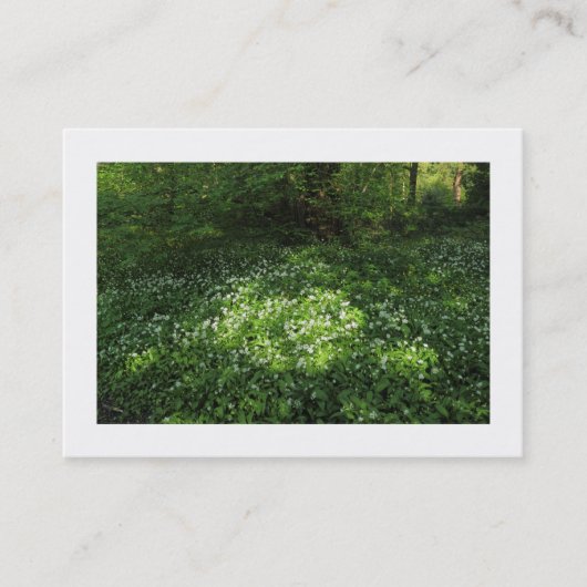 Vlek knoflook (Grenzen) Visitekaartje (Voorkant)