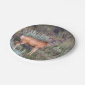 Vlek Papieren Bordje (Gekanteld)