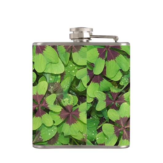 Vlek van vier lederen klaver, sorrel, met dauw heupfles (Achterkant)