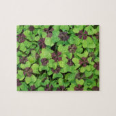 Vlek van vier lederen klaver, sorrel, met dauw legpuzzel (Horizontaal)