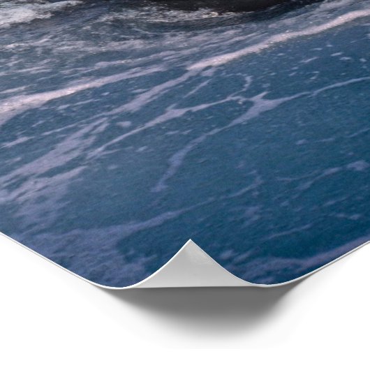 Vlekenzwembad Poster (Hoek)