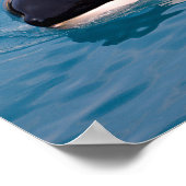 Vlekenzwembad Poster (Hoek)