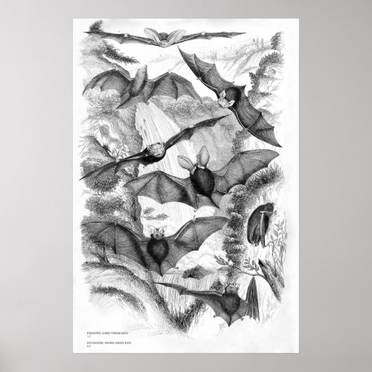  vlekken afdrukken poster (Voorkant)